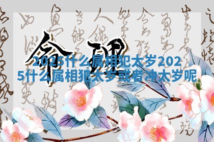 2025什么属相犯太岁_2025什么属相犯太岁或者冲太岁呢