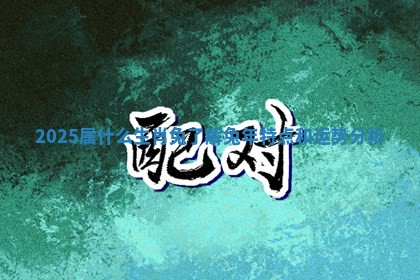 2025属什么生肖兔了解兔年特点和运势分析