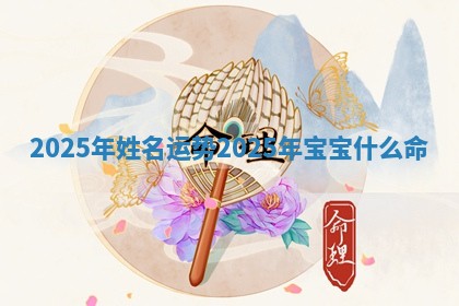 2025年姓名运势_2025年宝宝什么命