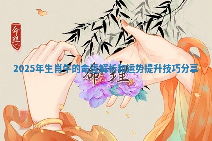 2025年生肖牛的命运解析和运势提升技巧分享
