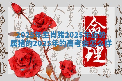 2025年生肖猪2025年运势 属猪的2025年的高考会怎么样