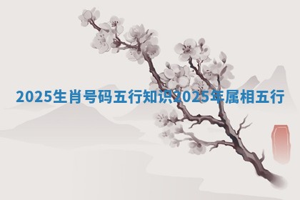 2025生肖号码五行知识 2025年属相五行