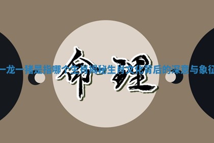 一龙一猪是指哪个生肖揭秘生肖文化背后的深意与象征 一龙一猪是指哪个生肖揭秘生肖文化背后的深意与象征