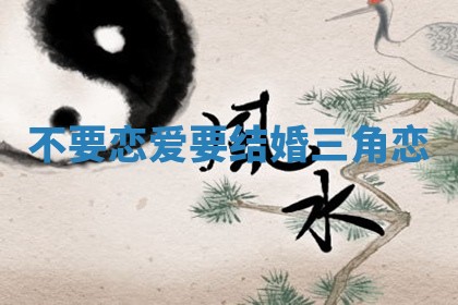 不要恋爱要结婚三角恋 