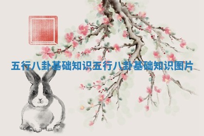 五行八卦基础知识_五行八卦基础知识图片