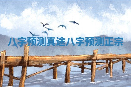 八字预测真途 八字预测正宗