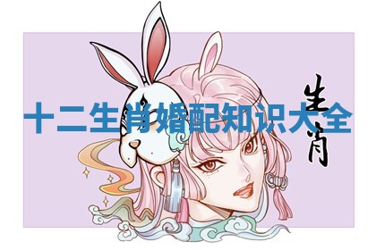 十二生肖婚配知识大全 