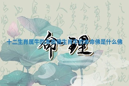 十二生肖属牛的本命佛 生肖牛的本命佛是什么佛