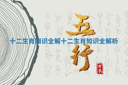 十二生肖知识全解 十二生肖知识全解析
