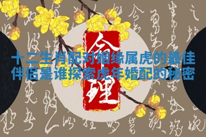 十二生肖配对姻缘属虎的最佳伴侣是谁探索虎年婚配的秘密