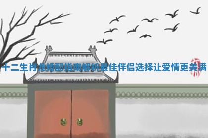 十二生肖龙婚配指南解析最佳伴侣选择让爱情更美满