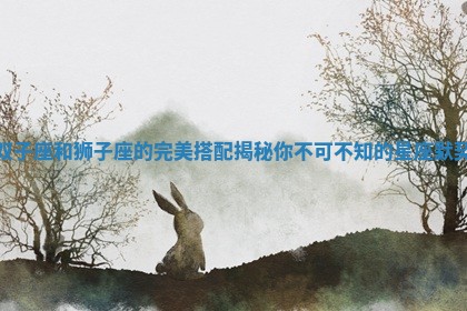 双子座和狮子座的完美搭配揭秘你不可不知的星座默契