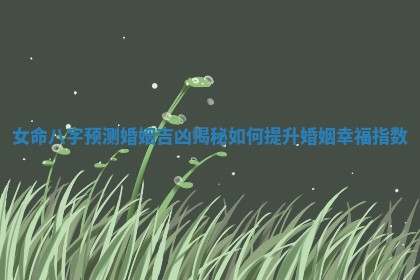 女命八字预测婚姻吉凶揭秘如何提升婚姻幸福指数