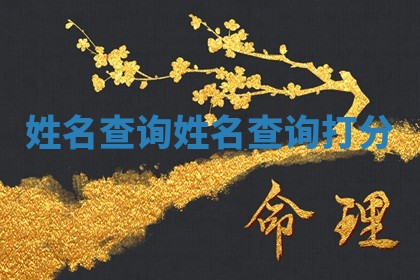 姓名查询 姓名查询打分 姓名查询 姓名查询打分