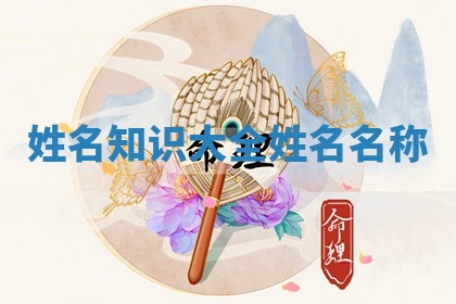 姓名知识大全_姓名名称