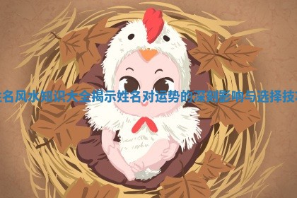 姓名风水知识大全揭示姓名对运势的深刻影响与选择技巧