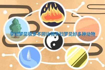 孕妇梦见很多不同动物_孕妇梦见好多种动物