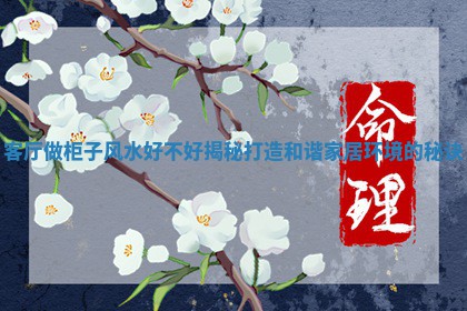 客厅做柜子风水好不好揭秘打造和谐家居环境的秘诀