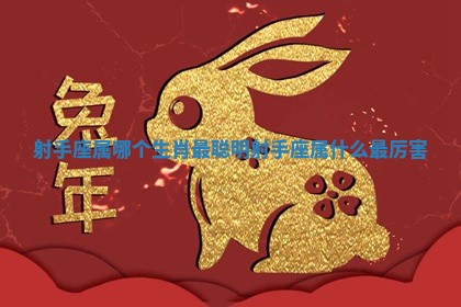 射手座属哪个生肖最聪明_射手座属什么最厉害 射手座属哪个生肖最聪明_射手座属什么最厉害