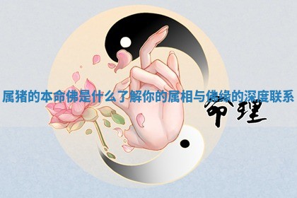 属猪的本命佛是什么 了解你的属相与佛缘的深度联系