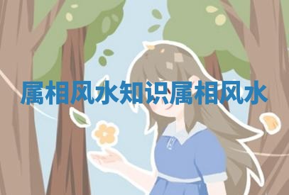 属相风水知识_属相 风水