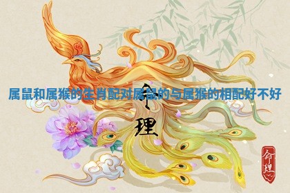 属鼠和属猴的生肖配对 属鼠的与属猴的相配好不好 属鼠和属猴的生肖配对 属鼠的与属猴的相配好不好