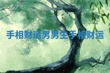 手相财运男_男生手相财运