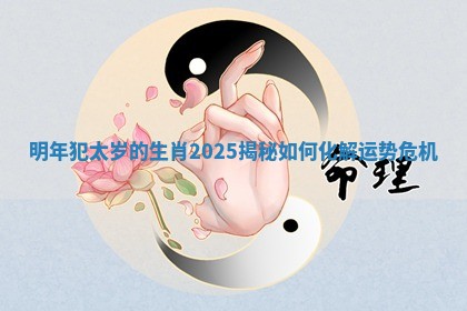明年犯太岁的生肖2025揭秘如何化解运势危机