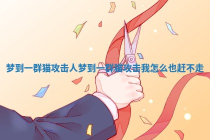 梦到一群猫攻击人_梦到一群猫攻击我怎么也赶不走