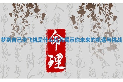 梦到自己坐飞机是什么征兆揭示你未来的机遇与挑战