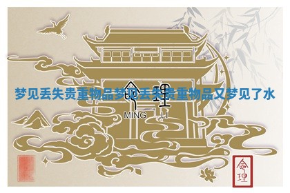 梦见丢失贵重物品_梦见丢失贵重物品又梦见了水