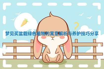 梦见买盆栽绿色植物的寓意解析与养护技巧分享