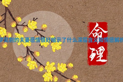 梦见别的夫妻感情很好暗示了什么深层含义和情感解析