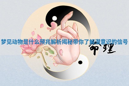 梦见动物是什么预兆解析揭秘带你了解潜意识的信号