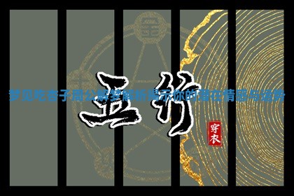 梦见吃杏子周公解梦解析揭示你的潜在情感与运势