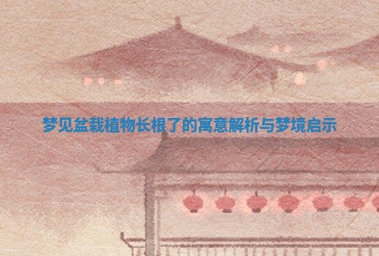梦见盆栽植物长根了的寓意解析与梦境启示 梦见盆栽植物长根了的寓意解析与梦境启示