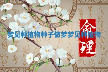 梦见种植物种子 做梦梦见种植物 梦见种植物种子 做梦梦见种植物