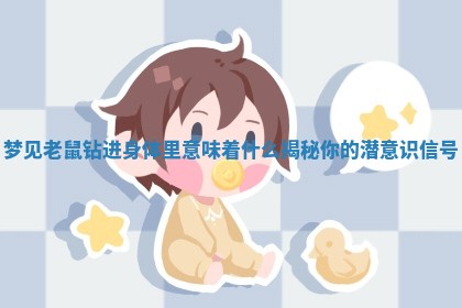 梦见老鼠钻进身体里意味着什么揭秘你的潜意识信号
