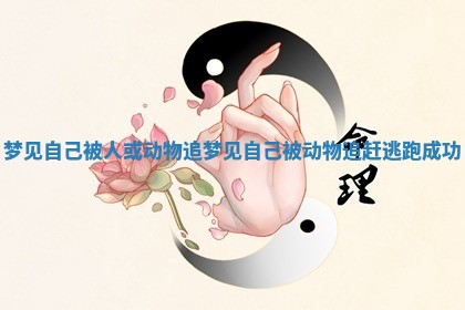 梦见自己被人或动物追_梦见自己被动物追赶逃跑成功 梦见自己被人或动物追_梦见自己被动物追赶逃跑成功