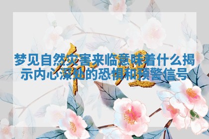 梦见自然灾害来临意味着什么揭示内心深处的恐惧和预警信号