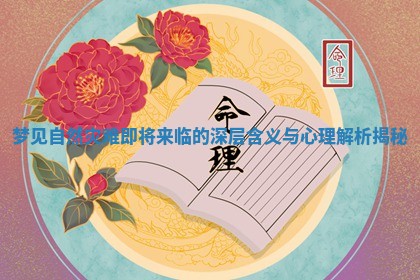 梦见自然灾难即将来临的深层含义与心理解析揭秘 梦见自然灾难即将来临的深层含义与心理解析揭秘