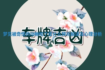 梦见被奇怪的动物咬了是什么预兆解读及心理分析
