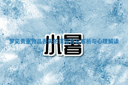 梦见贵重物品丢失的深层含义解析与心理解读