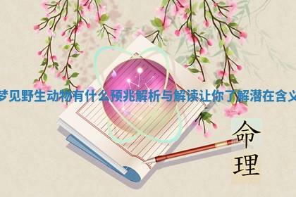 梦见野生动物有什么预兆解析与解读让你了解潜在含义