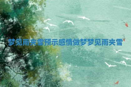梦见雨夹雪预示感情 做梦梦见雨夹雪
