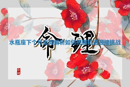 水瓶座下个月运势解析如何把握机遇迎接挑战