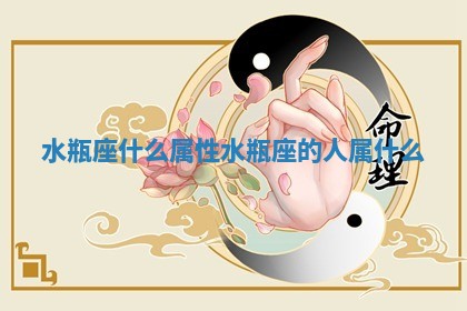水瓶座什么属性_水瓶座的人属什么