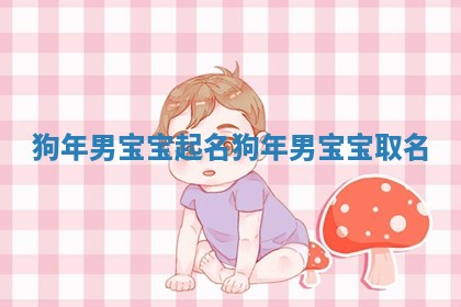 狗年男宝宝起名_狗年男宝宝取名