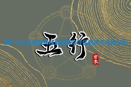 猴什么生肖最配揭秘最理想的伴侣选择与性格分析