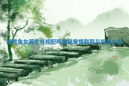 猴男兔女两生肖相配吗揭秘爱情默契与相处之道